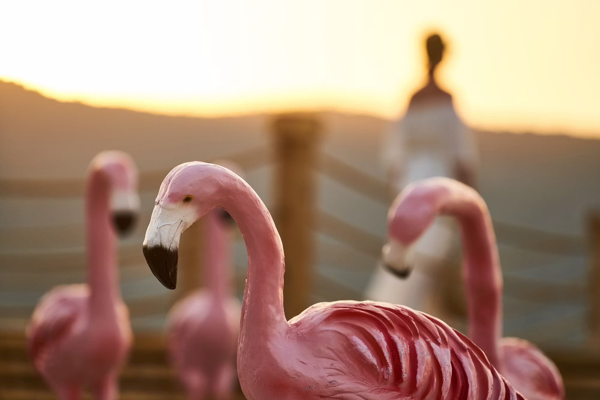 Eine kulinarische Reise: Entdecken Sie die besten Hotelrestaurants auf der ganzen Welt